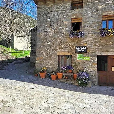 Hotel Aceitero 2*