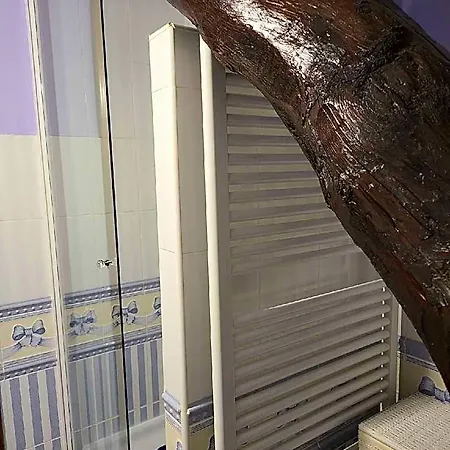 Hotel Aceitero 2*